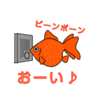 いろいろな金魚と日常の一言（個別スタンプ：6）