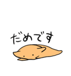 日常のめんだこさん（個別スタンプ：19）