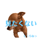 ミニピンとメインクーン①（個別スタンプ：39）