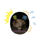M.COCOちゃん（個別スタンプ：7）