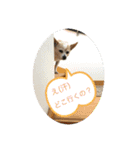M.COCOちゃん（個別スタンプ：9）
