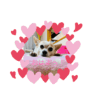 M.COCOちゃん（個別スタンプ：16）
