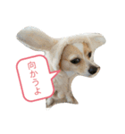 M.COCOちゃん（個別スタンプ：19）