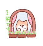 柴犬しばちゃん（個別スタンプ：3）