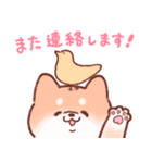 柴犬しばちゃん（個別スタンプ：27）