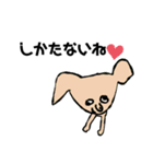 大人気☆つかうとこ限定しがちスタンプLv.2（個別スタンプ：11）