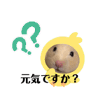 キンクマもなか夏のご挨拶（個別スタンプ：3）