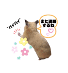 キンクマもなか夏のご挨拶（個別スタンプ：14）