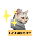 せんちゃんと申します（個別スタンプ：5）