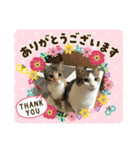 ミロココと私スタンプ（個別スタンプ：5）