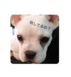 ぼんちゃん001（個別スタンプ：1）