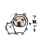 ぼんちゃん001（個別スタンプ：12）