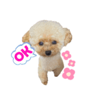おこめすたんぷ（個別スタンプ：3）