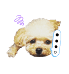 おこめすたんぷ（個別スタンプ：5）
