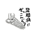 anatomy stamps（個別スタンプ：4）