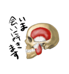 anatomy stamps（個別スタンプ：7）