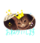 NYAN chan STAMP（個別スタンプ：1）