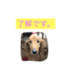 マックスオリジナルスタンプです！（個別スタンプ：3）