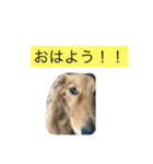 マックスオリジナルスタンプです！（個別スタンプ：5）