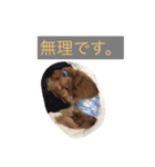 マックスオリジナルスタンプです！（個別スタンプ：6）
