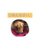 マックスオリジナルスタンプです！（個別スタンプ：7）