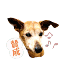 ライト動物病院の皆様のスタンプ（個別スタンプ：10）