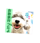 ライト動物病院の皆様のスタンプ（個別スタンプ：12）