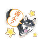 ライト動物病院の皆様のスタンプ（個別スタンプ：19）