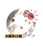 ライト動物病院の皆様のスタンプ（個別スタンプ：20）