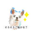 ライト動物病院の皆様のスタンプ（個別スタンプ：21）