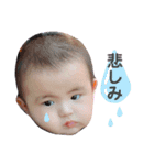 はる坊ちゃんのスタンプー。（個別スタンプ：2）