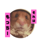 もっちーのスタンプ！（個別スタンプ：1）