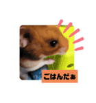 もっちーのスタンプ！（個別スタンプ：3）