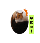 もっちーのスタンプ！（個別スタンプ：4）