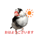 桜文鳥の日常会話（個別スタンプ：2）