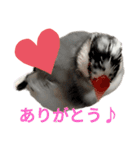 桜文鳥の日常会話（個別スタンプ：6）