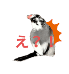 桜文鳥の日常会話（個別スタンプ：7）