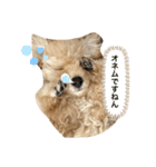 モネリム（個別スタンプ：1）