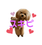 モネリム（個別スタンプ：2）