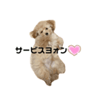 モネリム（個別スタンプ：3）
