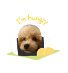 モネリム（個別スタンプ：4）