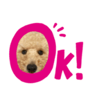 モネリム（個別スタンプ：5）