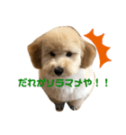 モネリム（個別スタンプ：7）