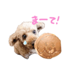 またたびハイウェイ（個別スタンプ：6）