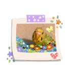 セキセイインコのひな2（個別スタンプ：1）