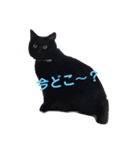 ナミエchan（個別スタンプ：6）