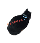 ナミエchan（個別スタンプ：8）