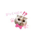 Lunalovegood（個別スタンプ：1）