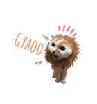 Lunalovegood（個別スタンプ：2）