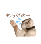Lunalovegood（個別スタンプ：5）